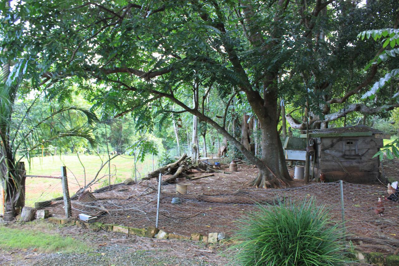Alstonville Country Cottages Buitenkant foto